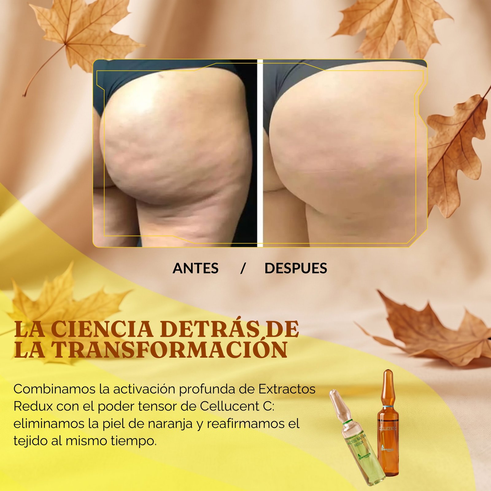 Duo Super Reafirmante - Promo Otoño - Imagen 3
