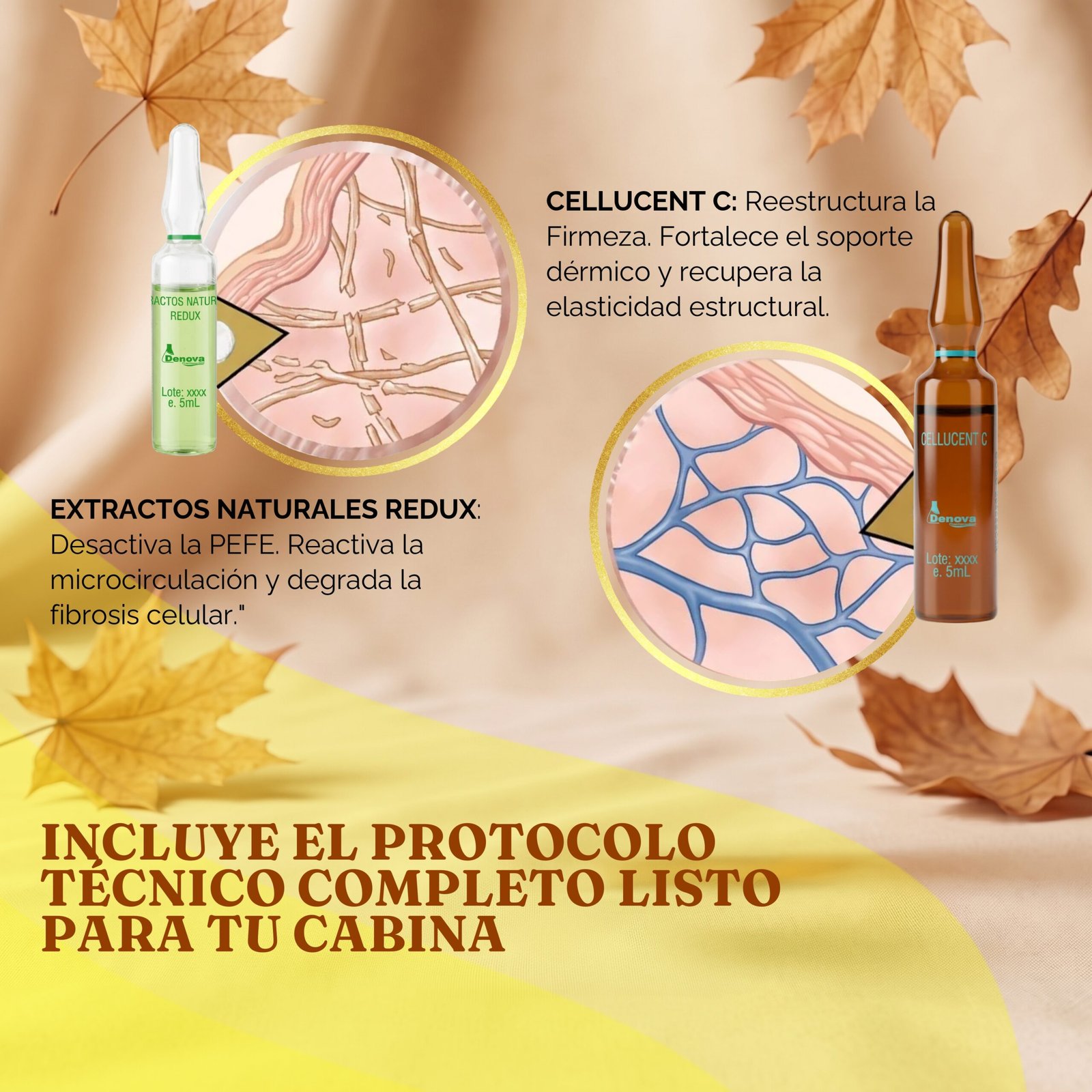 Duo Super Reafirmante - Promo Otoño - Imagen 4